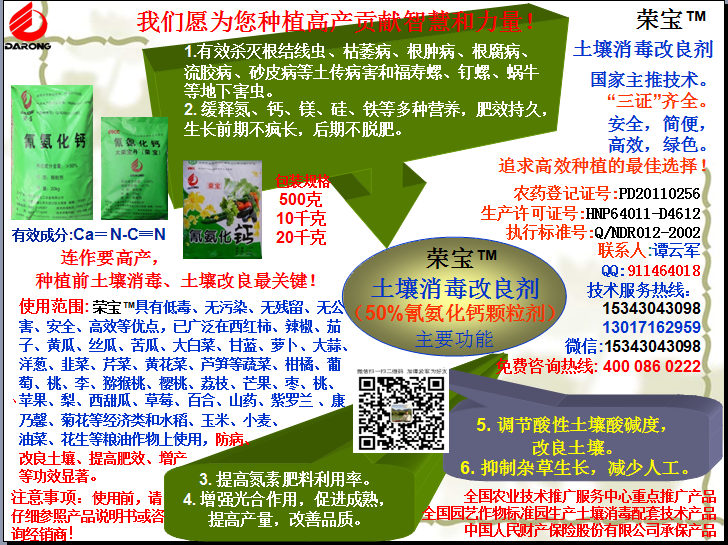 榮寶（氰氨化鈣）顆粒殺菌劑，土壤消毒、緩釋氮鈣營(yíng)養(yǎng)、肥料增效、土壤改良四效合一，殺滅根結(jié)線(xiàn)蟲(chóng)，防治根腫病、根腐病、枯萎病、流膠病、蓮藕腐敗病等土傳病害，殺滅福壽螺、釘螺等地下害蟲(chóng)，解決連作障礙